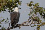 Wilpattu National Park 1st to 2nd October 2022