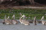 Wilpattu National Park 1st to 2nd October 2022