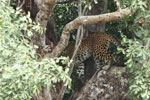 Notes on Field Trips Wilpattu National Park