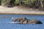 Notes on Field Trips Wilpattu National Park