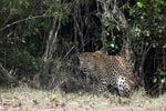 Notes on Field Trips Wilpattu National Park