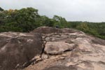 Wilpattu National  Park 2nd - 4th  February 2019