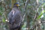 Notes on Field Trips Wilpattu National Park