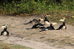 Notes on Field Trips Wilpattu National Park