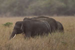 Notes on Field Trips Wilpattu National Park