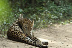 Notes on Field Trips Wilpattu National Park