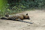 Notes on Field Trips Wilpattu National Park