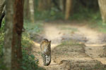 Notes on Field Trips Wilpattu National Park