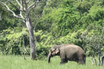 Notes on Field Trips Wilpattu National Park