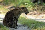 Notes on Field Trips Wilpattu National Park