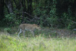 Notes on Field Trips Wilpattu National Park