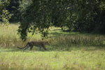 Notes on Field Trips Wilpattu National Park