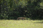 Notes on Field Trips Wilpattu National Park