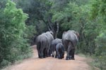 Notes on Field Trips Wilpattu National Park