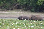 Notes on Field Trips Wilpattu National Park