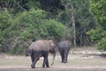 Notes on Field Trips Wilpattu National Park