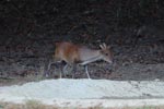 Notes on Field Trips Wilpattu National Park