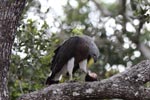 Notes on Field Trips Wilpattu National Park