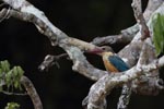 Notes on Field Trips Wilpattu National Park