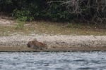 Notes on Field Trips Wilpattu National Park