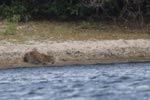 Notes on Field Trips Wilpattu National Park