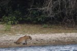 Notes on Field Trips Wilpattu National Park