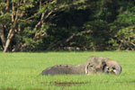 Notes on Field Trips Wilpattu National Park