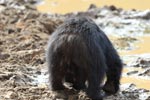 Wilpattu National ParkPark 3rd July 2019