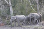 Wilpattu National ParkPark 3rd July 2019