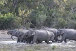 Wilpattu National ParkPark 3rd July 2019