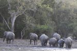 Wilpattu National ParkPark 3rd July 2019