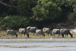 Wilpattu National Park 04 05 july 2020