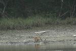 Notes on Field Trips Wilpattu National Park