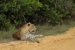 Notes on Field Trips Wilpattu National Park