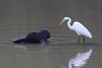 Wilpattu National Park 4th to 7th March 2023