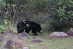 Wilpattu National Park 4th to 7th March 2023