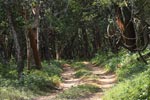 Wilpattu National Park 4th to 7th March 2023