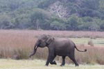 Wilpattu National Park 4th to 7th March 2023