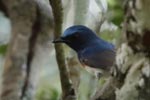 Wilpattu National ParkPark 04th february 2020