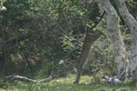 Notes on Field Trips Wilpattu National Park