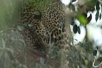 Notes on Field Trips Wilpattu National Park