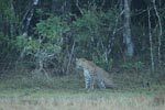 Notes on Field Trips Wilpattu National Park