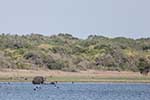 Wilpattu National Park 25th to 6th September 2025