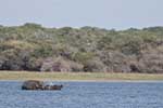 Wilpattu National Park 25th to 6th September 2025