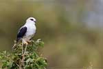 Wilpattu National Park 25th to 6th September 2025