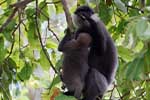 Wilpattu National Park 25th to 6th September 2025
