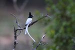 Notes on Field Trips Wilpattu National Park