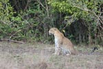 Notes on Field Trips Wilpattu National Park