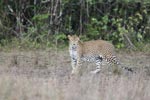 Notes on Field Trips Wilpattu National Park