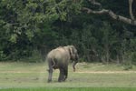 Notes on Field Trips Wilpattu National Park